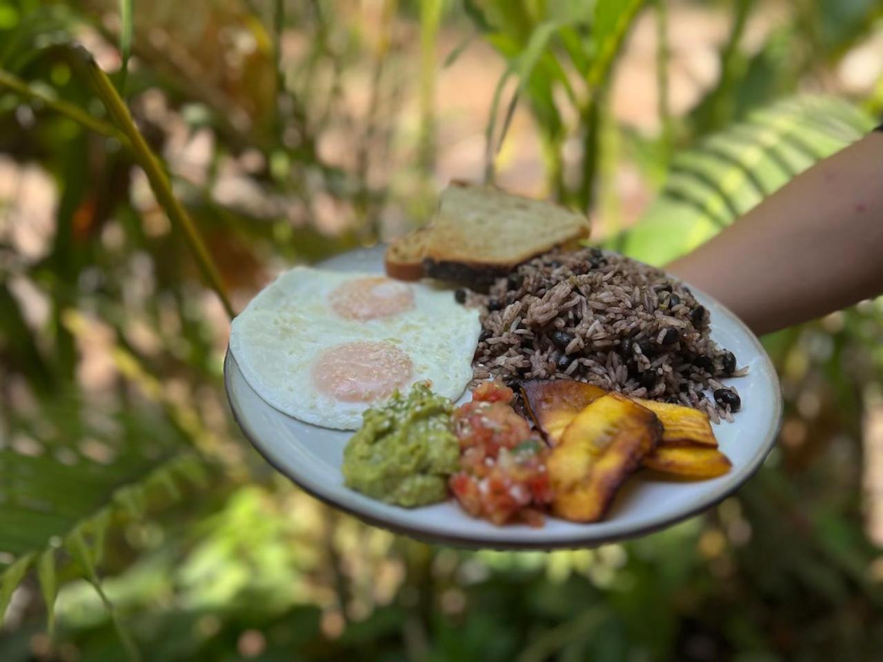 Playa Hermosa Cobano Dream Surf House Santa Teresa 호스텔 외부 사진