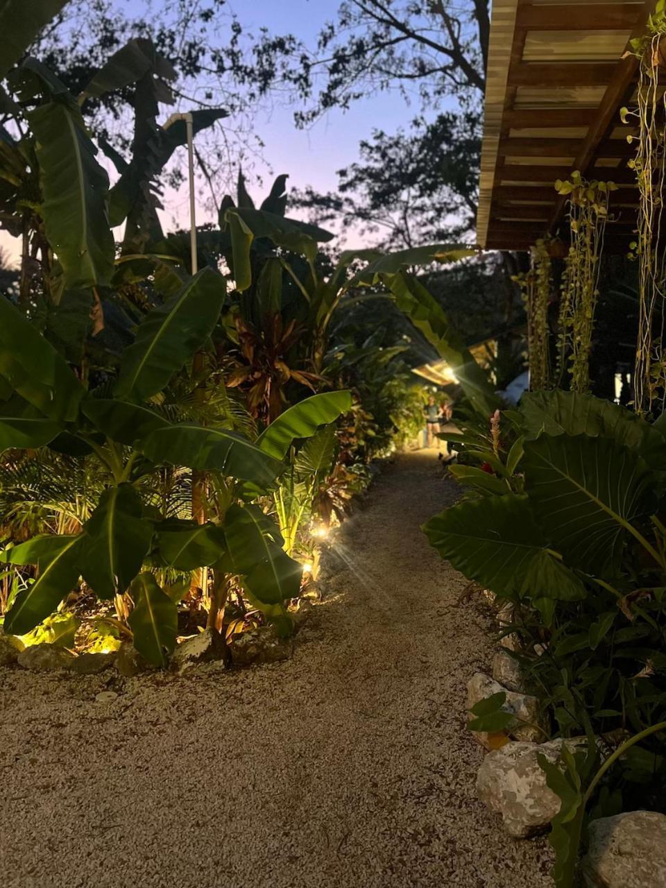 Playa Hermosa Cobano Dream Surf House Santa Teresa 호스텔 외부 사진