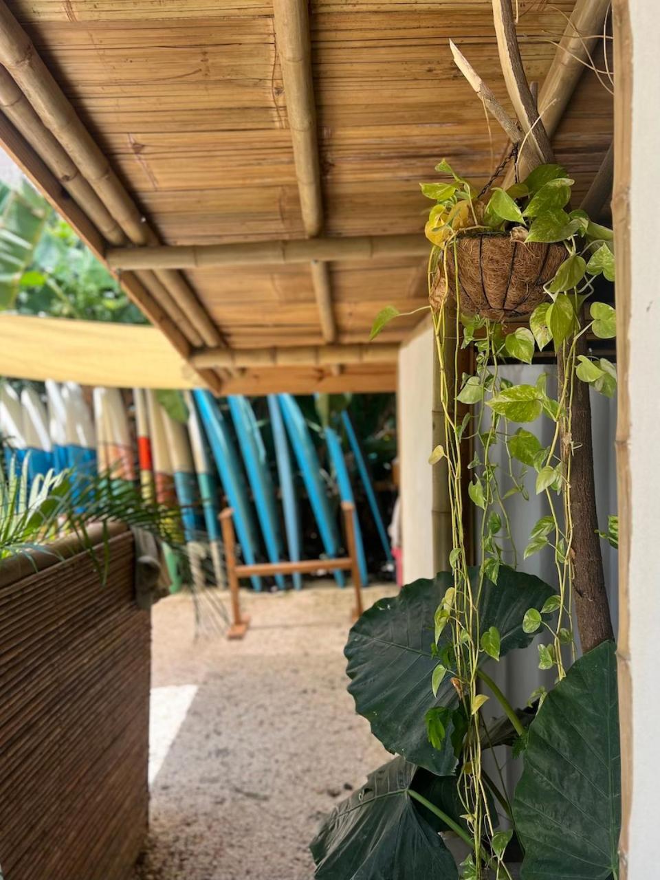 Playa Hermosa Cobano Dream Surf House Santa Teresa 호스텔 외부 사진