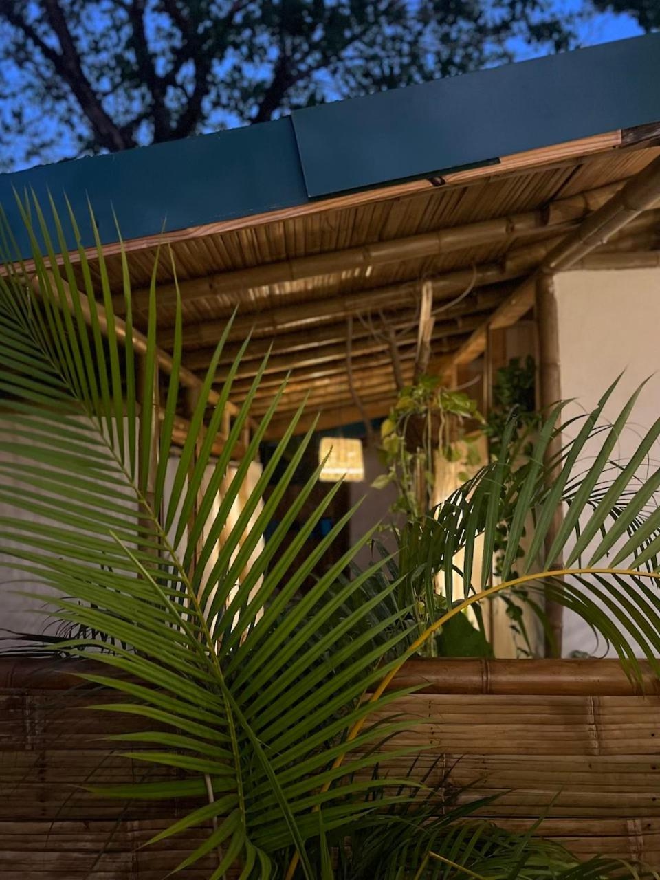 Playa Hermosa Cobano Dream Surf House Santa Teresa 호스텔 외부 사진