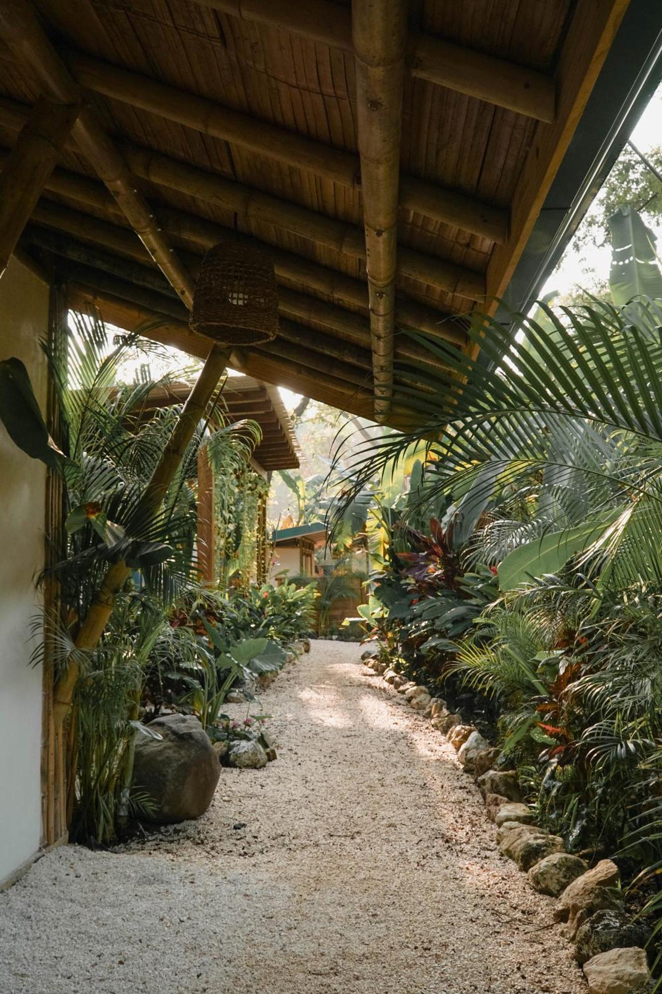 Playa Hermosa Cobano Dream Surf House Santa Teresa 호스텔 외부 사진