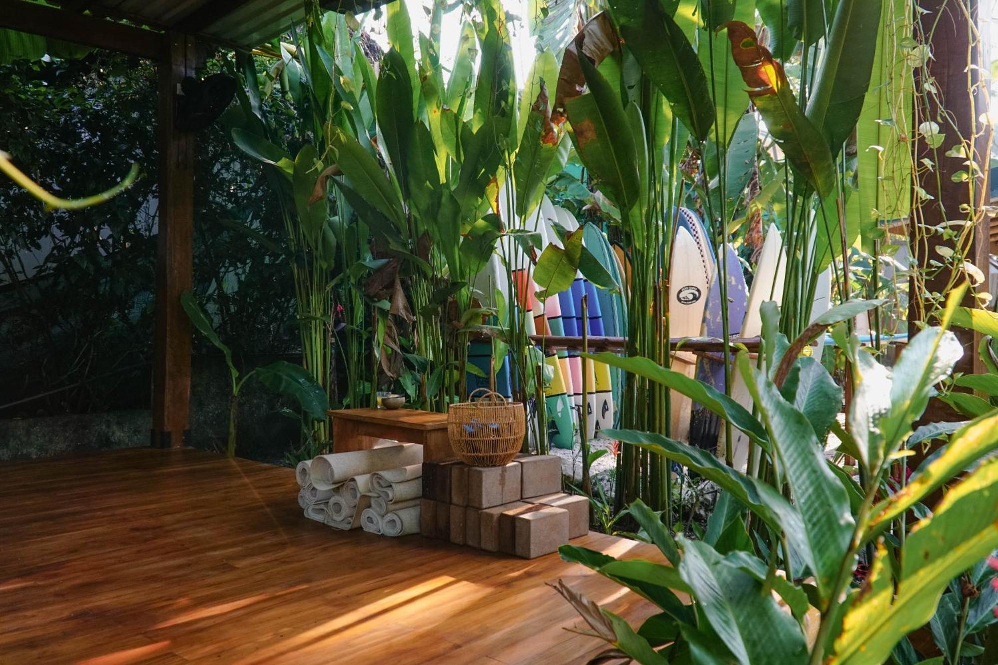 Playa Hermosa Cobano Dream Surf House Santa Teresa 호스텔 외부 사진