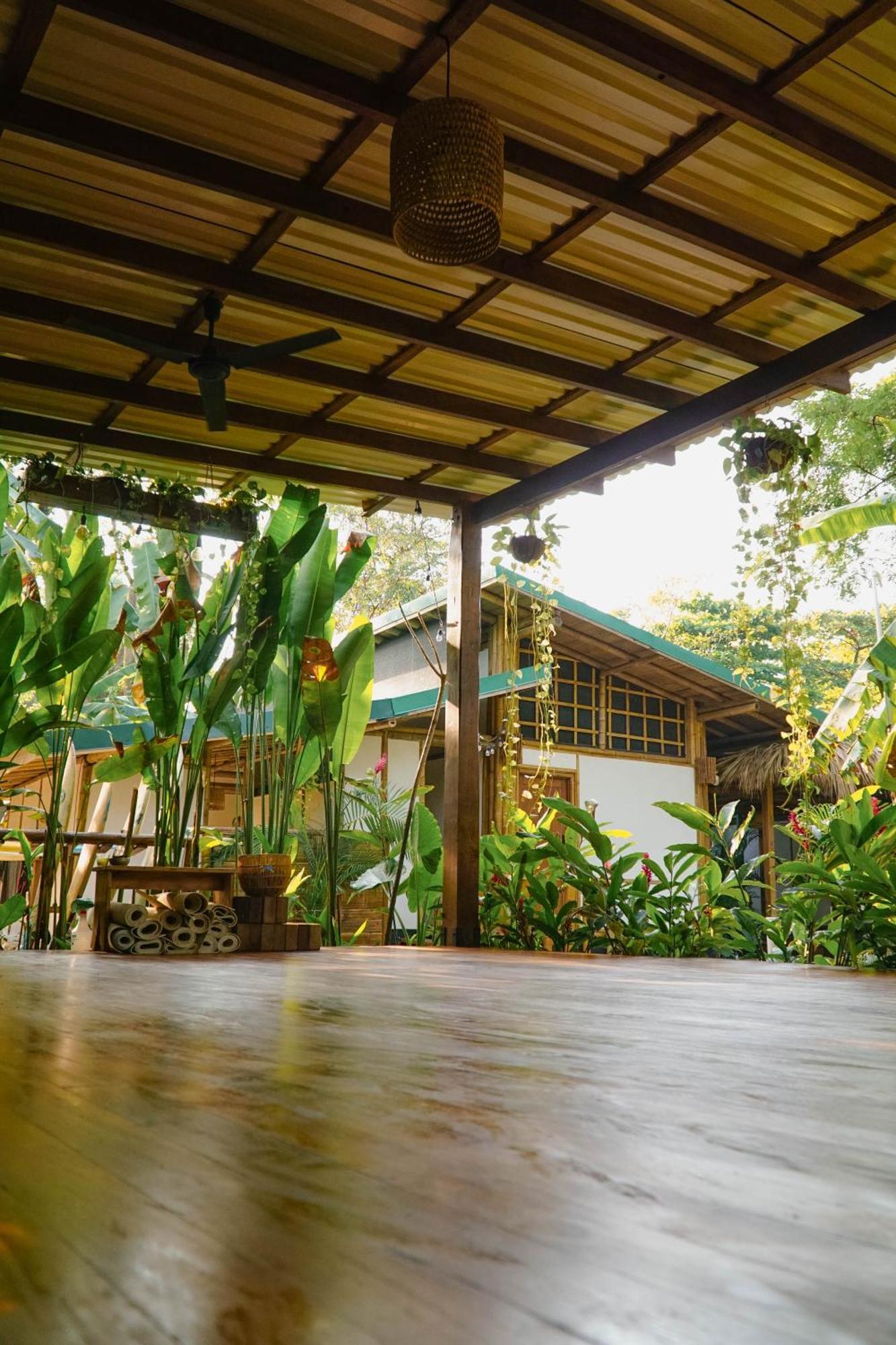 Playa Hermosa Cobano Dream Surf House Santa Teresa 호스텔 외부 사진