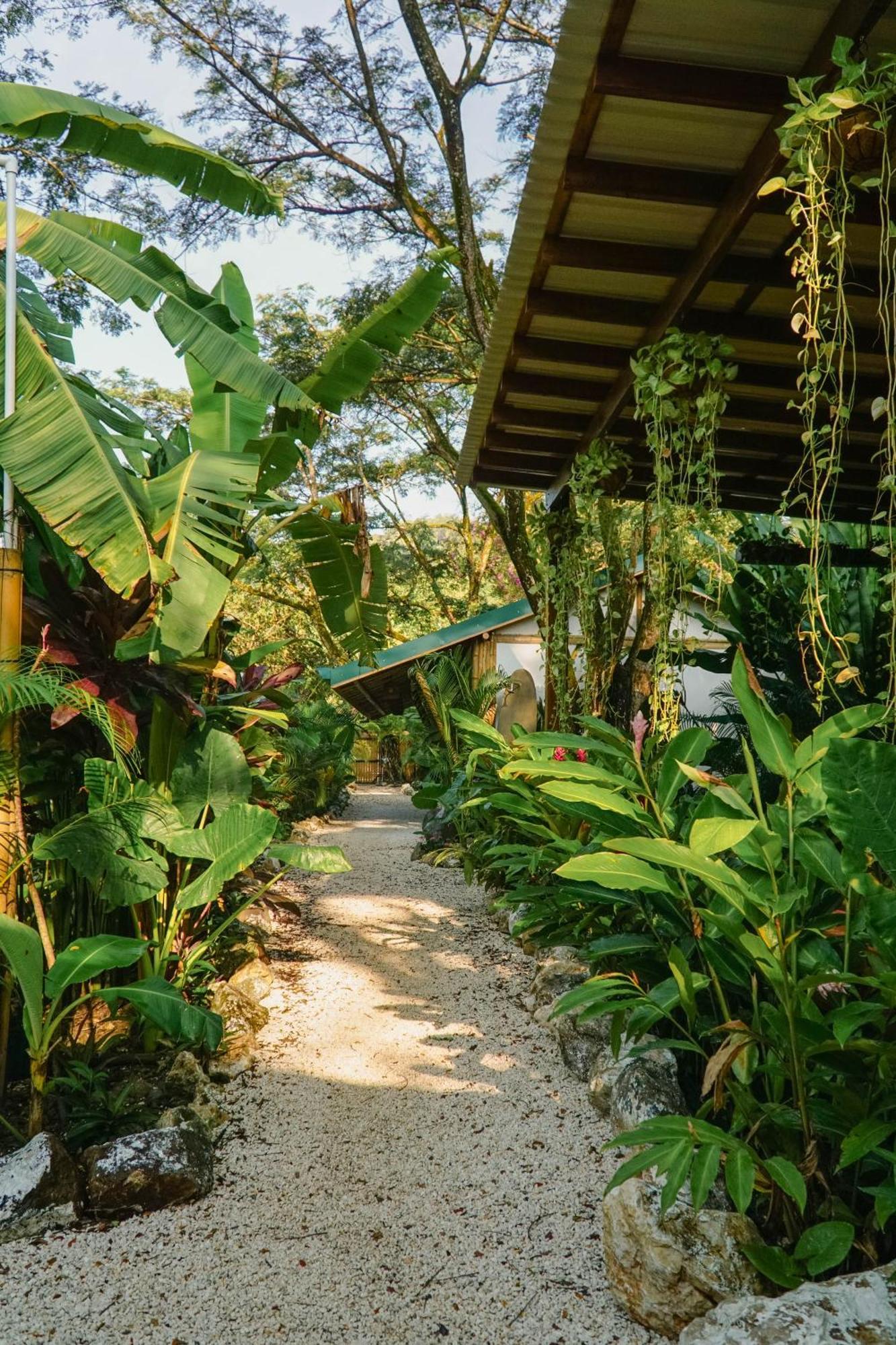 Playa Hermosa Cobano Dream Surf House Santa Teresa 호스텔 외부 사진