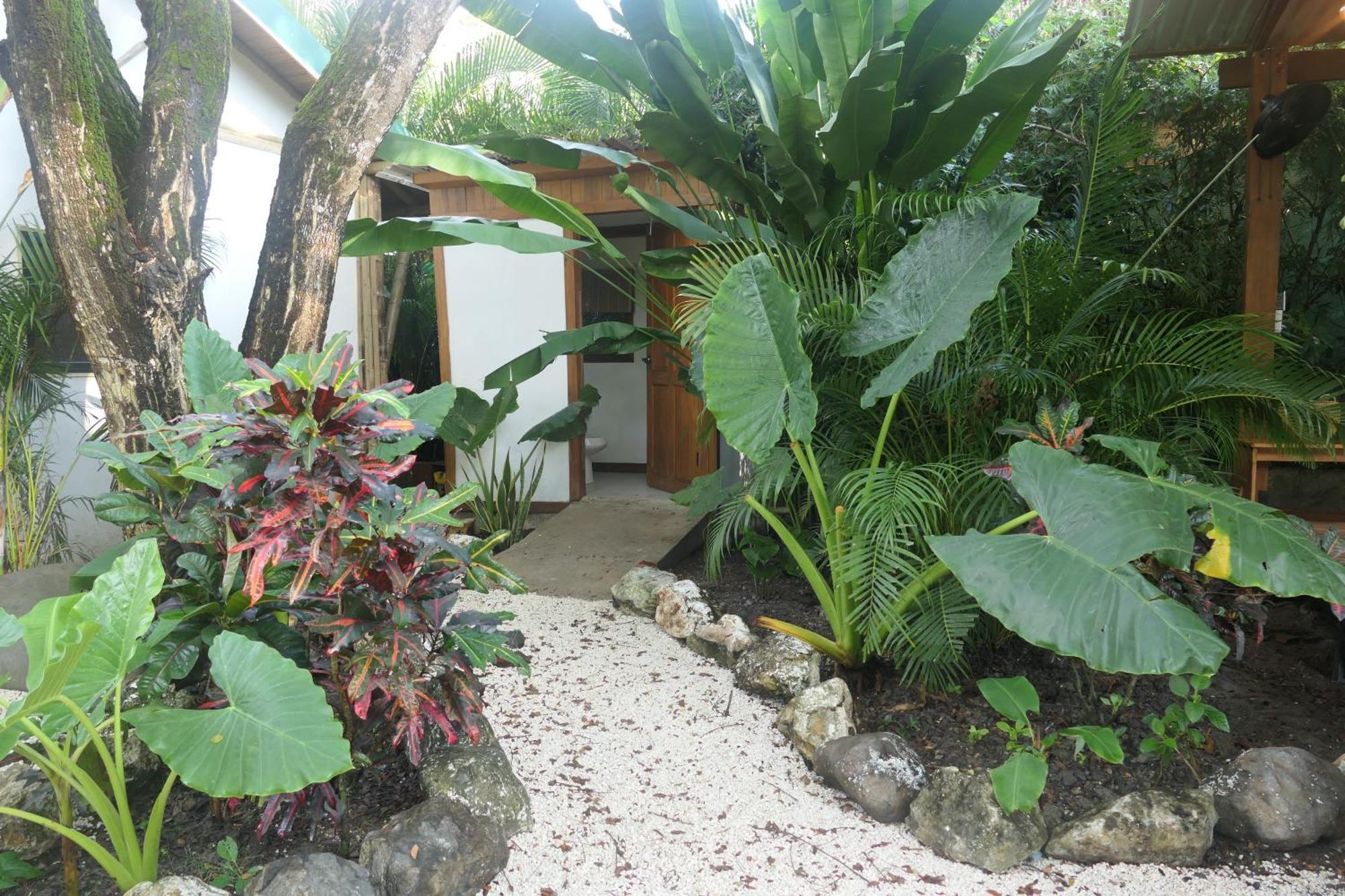 Playa Hermosa Cobano Dream Surf House Santa Teresa 호스텔 외부 사진
