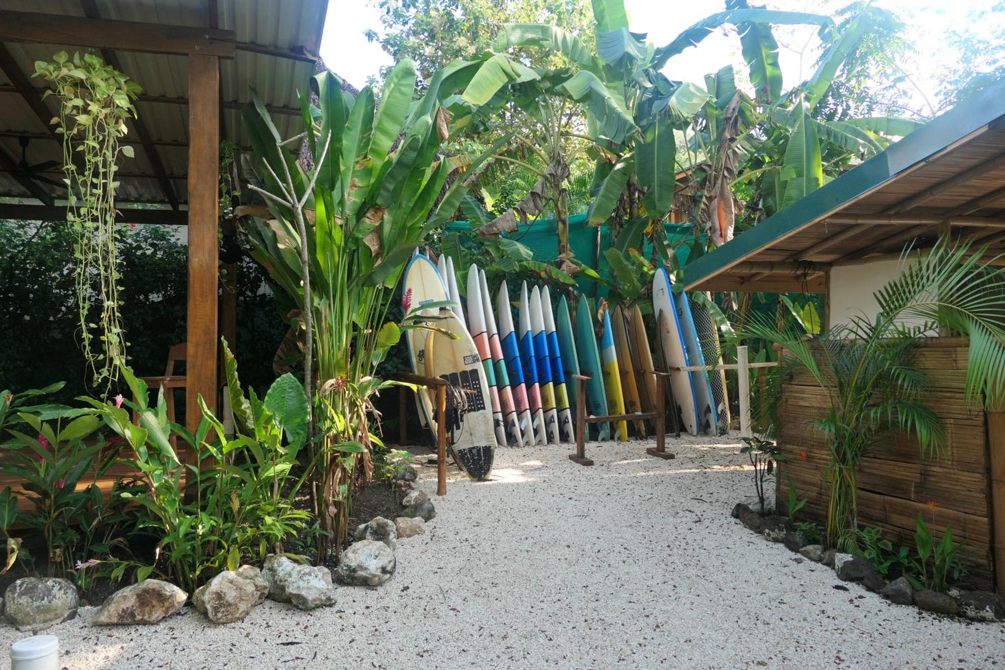 Playa Hermosa Cobano Dream Surf House Santa Teresa 호스텔 외부 사진
