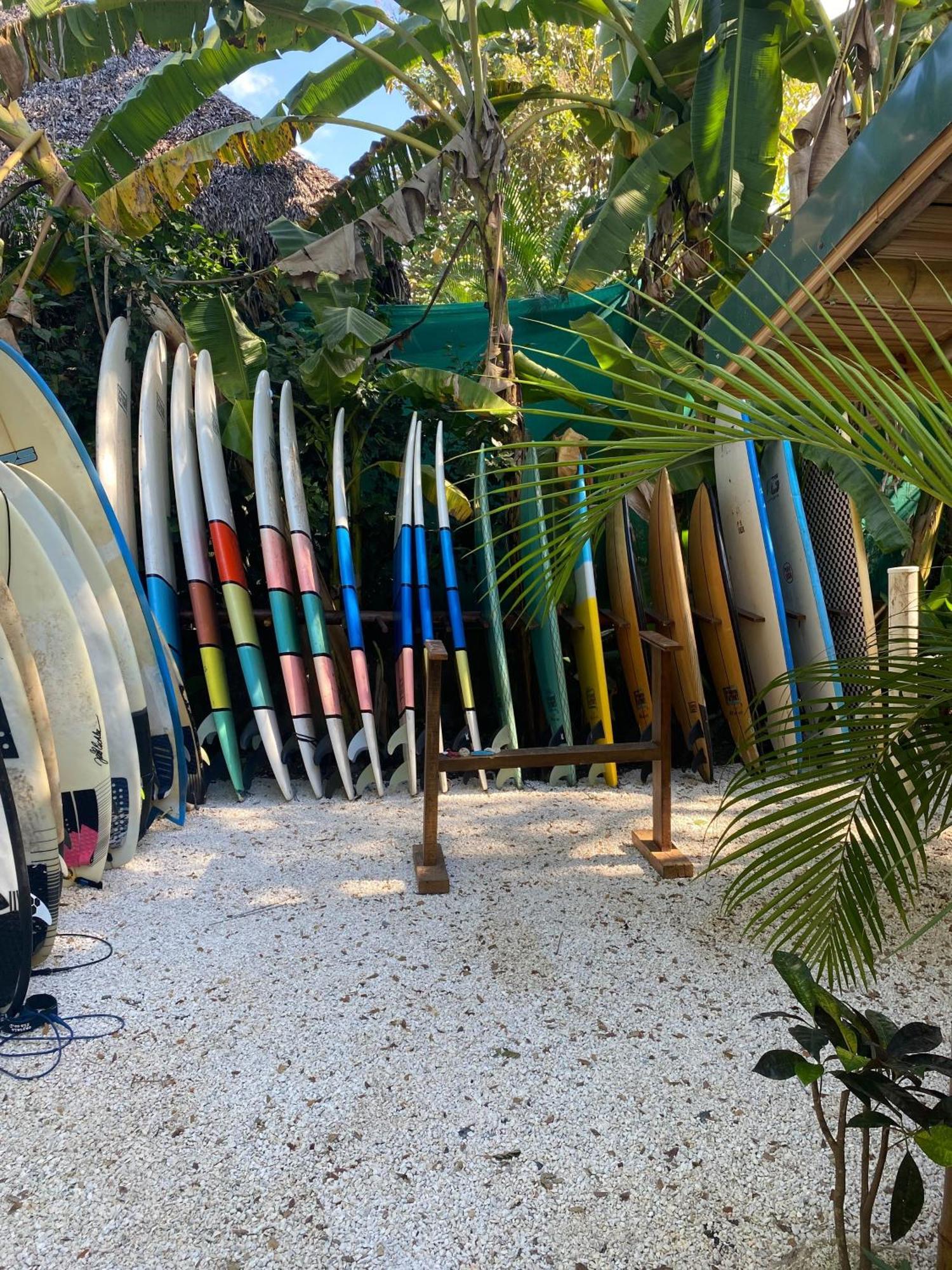 Playa Hermosa Cobano Dream Surf House Santa Teresa 호스텔 외부 사진